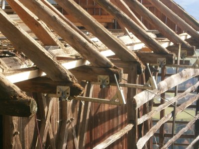Futterhaus Hofern